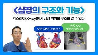 심장의 구조와 기능 I 심장은 왜 방이 4개일까? I 전선은 심장 어디에 깔려있을까? I 엑스레이(X-ray)에서 심장 위치와 구조를 알 수 있다!