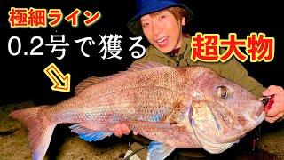 極細ラインで超大物を獲る‼️釣りプロvs巨大魚の神回まとめ