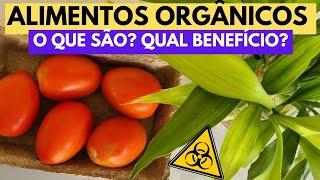 O que é alimento orgânico? Quais benefícios dos alimentos orgânicos?