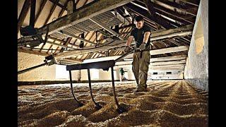 Warminster Maltings – A History of Tradition