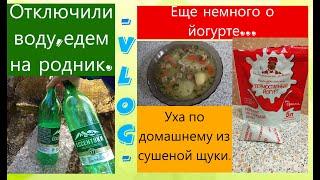 На родник на самокате/ дождливые дни и слабая рассада.