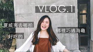 TRAVEL VLOG | 跟我去夏威夷歐胡島度假吧！ 跟海龜游泳好夢幻呀～