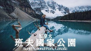 加拿大洛磯山脈自駕旅行，開車撞見棕熊跟麋鹿！｜班夫國家公園Banff、路易斯湖Lake Louise、夢蓮湖Lake Moraine、Jasper國家公園、精靈島Spirit Island