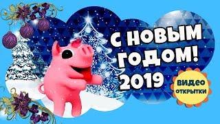 Скоро НОВЫЙ ГОД 2019 год Свиньи. С НОВЫМ ГОДОМ! Свинья Анимированный футаж для видео монтажа 21.