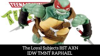 THE LOYAL SUBJECTS BST AXN IDW TMNT Raphael