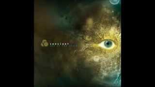 Sensient-Grunt Minimale