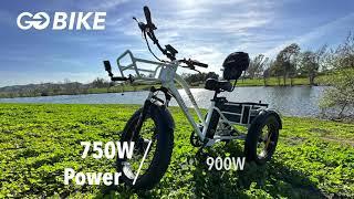 FORTE Electric Tricycle: Unleash the Power of All-Terrain E-Trike Experience