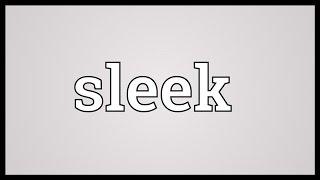 Sleek Meaning