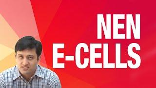 WF I NEN: Building High Performance E Cells & Influencing Entrepreneurship | Wadhwani Foundation