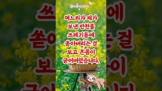 며느리가 반찬을 버리는 이유… 알고 보니 눈물 나는 사연