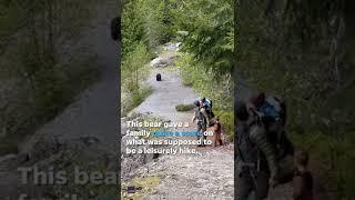 Bear stalks family with young kids on hike | USA TODAY #shorts