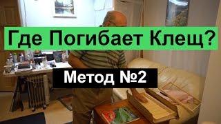 Пасека #42 Как без химии сократить клеща ? Где погибает клещ ? метод 2 Пасека Пчеловодство.