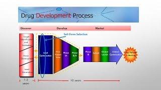 Solid Form Selection in the Pharmaceutical Industry: Importance in the Drug Development Process