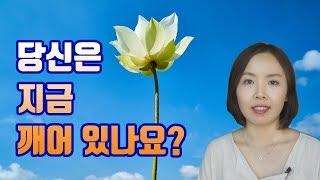 일상 속의 알아차림 명상, 깨어서 살아가기, 메타인지 높이기 - 나는 지금 무엇을 왜 하고 있는가?