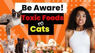 Cat Owners Beware: Toxic Foods Revealed