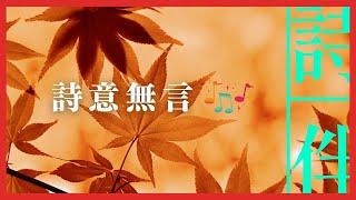 伴眠音樂： 詩意無言 伴您入眠  20230213【詩伴直播】#傳統文化 #中國 #古詩詞 #睡眠#音樂】