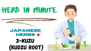 3-Kuzu or Kudzu Root ( japanese herb)