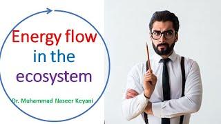 How energy flows in ecosystem? What is Photosynthesis? What are producers, herbivores & Carnivores?