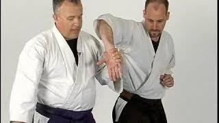 Aikido Sankyo Straight Punch Defense