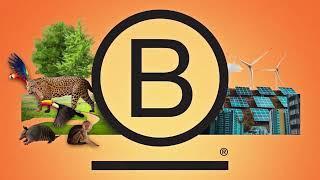 B Corp Movement: Transforming the global economy to benefit all people, communities, and the planet