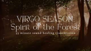 VIRGO SEASON: SPIRIT OF THE FOREST | 55 Minute Sound Healing | Shamanic Ambience | Earth Codes 528hz