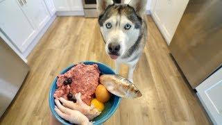 What Feeding Raw Breakfast Every Morning Looks Like With My Husky!