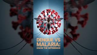 Dengue vs Malaria: Know the Difference!