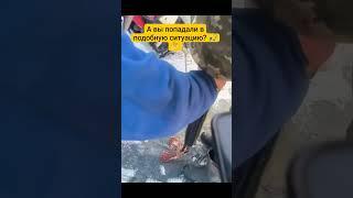 А вас кусала щука?  #рыбалка #щука #укус
