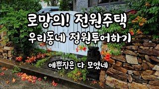 우리동네 여름 정원 투어하기 예쁜집은 다 모였어요