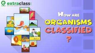 Classification of Organisms | Biology | Extraclass