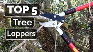 Top 5 Best Tree Loppers You Can Buy Right Now [2023]