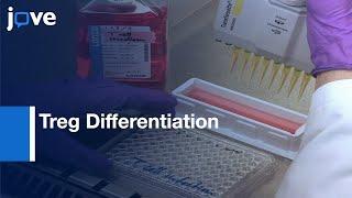 Treg Differentiation Study by Adenoviral Transduction of CD4 T Cells | Protocol Preview