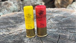 12 Gauge: The Most Versatile Cartridge In Existence?