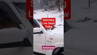 Live Snowfall Video From Sonamarg Only On @ytbharat