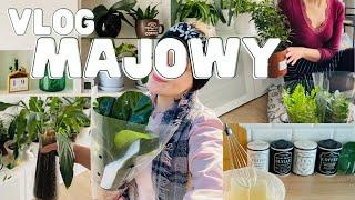 VLOG MAJOWY: DOMOWE PATENTY, ROŚLINY Z BIEDRONKI, NALEŚNIKI