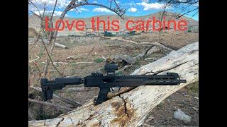 Ruger LC 45 carbine Holosun red dot