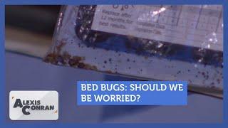 Should we be worried about bedbugs? Feat. BedBugs Limited | Alexis Conran