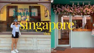 SINGAPORE VLOG 2024 —  part one  exploring tourist spots, accommodation, diy itinerary ️