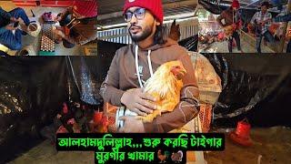 আলহামদুলিল্লাহ,,,শুরু করছি টাইগার মুরগীর খামার 