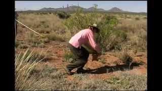Establishing a Transect