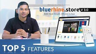 bluerhine.store v 3.0 - B2B Made Simple, Efficient & Fast