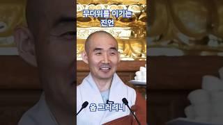 [무더위를 이기는 진언] 옴 그러려니 - 구담스님 #초하루법회 #불광사 #진언