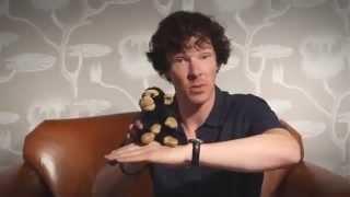 Benedict Cumberbatch ||  I do a d o r e 