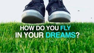 How do you Fly in Your Dreams - Alan's Theory