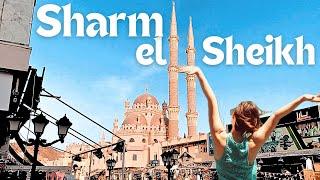 Sharm El-Sheikh   Egypt Arabian Peninsula Travel Tips - A Complete Guide Tour for Sharm el-Sheikh