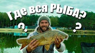 Где вся рыба? Поехал на Лещя а Наловил...