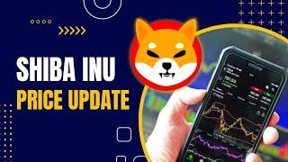 (SHIB) Shiba Inu Price Prediction – Pain or OPPORTUNITY?!