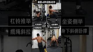 Complete Guide to Shoulder Muscle Training! #abs #abworkout #重訓  #健身