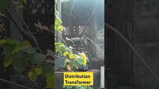 distribution transformer #shortvideo #shorts #short #viralvideo #transformers