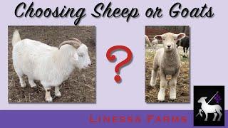 Sheep or Goats?  Insight From a Texas Rancher